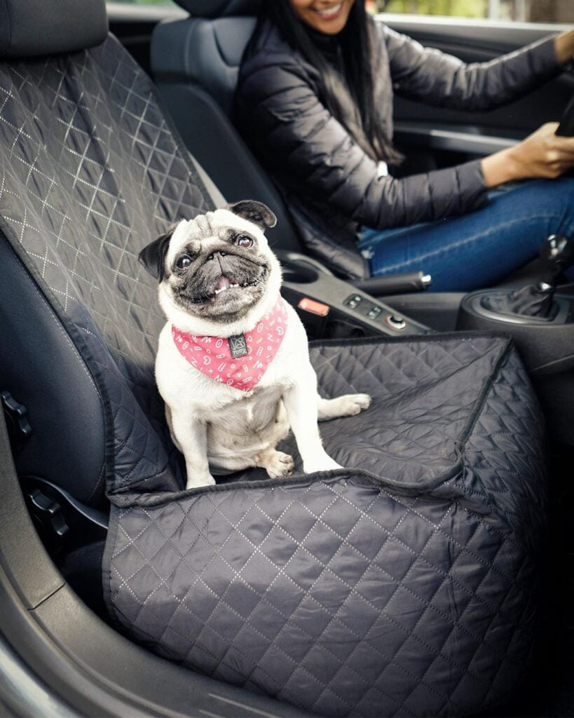 Perro en carro, viajar con mascota en colombia es muy fácil.