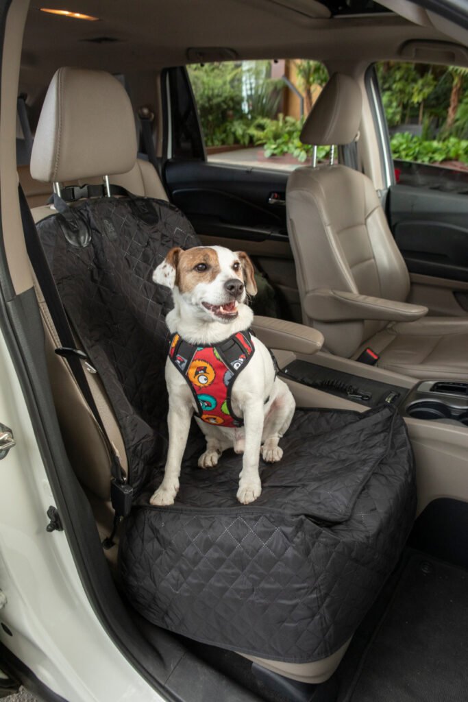 Viajar con mascotas - Perro en carro sobre cargador protector para carro