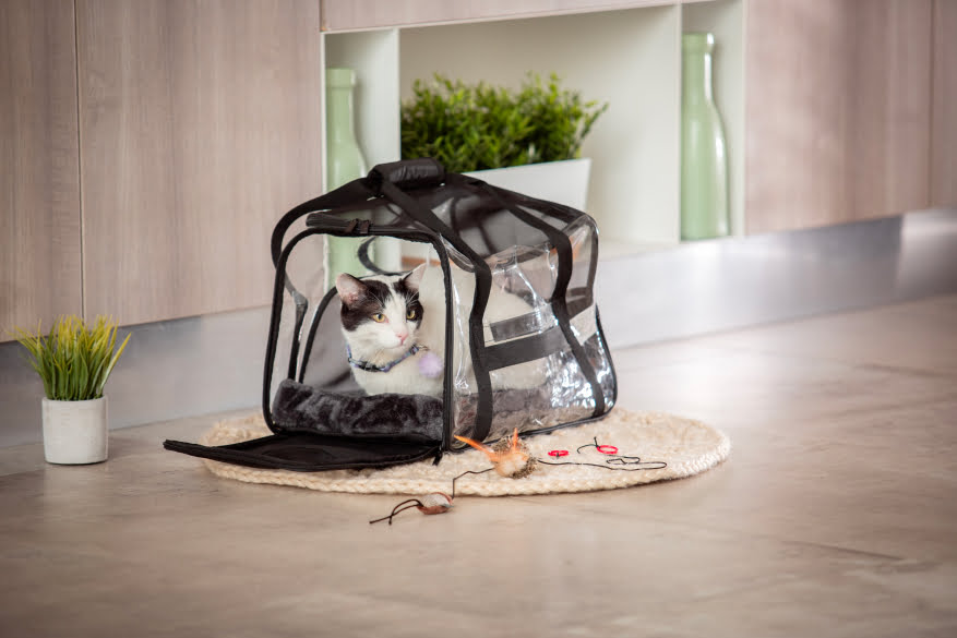 Gato viajero en cargador para gato ideal para viajar con mascotas