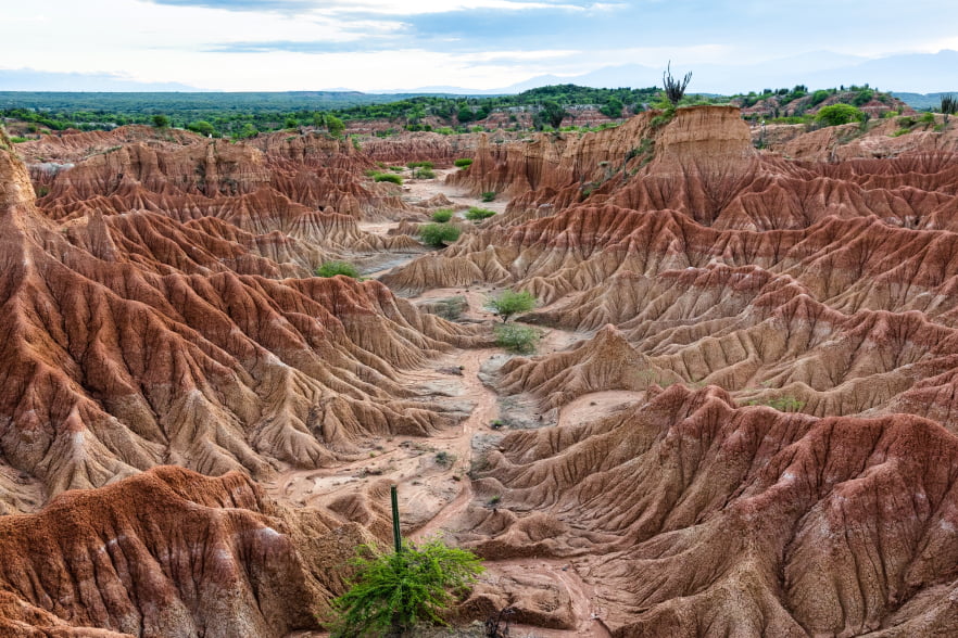 Desierto de la Tatacoa Colombia - Lugares pet friendly